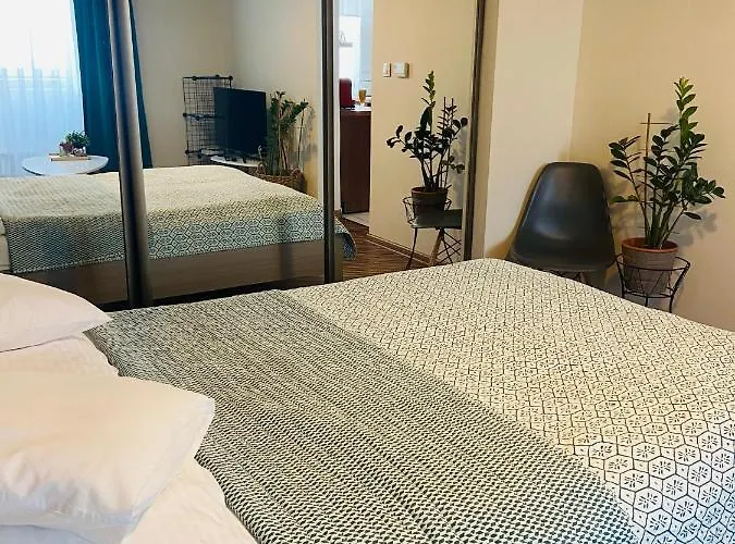 Na Starowce Vi * פז'יז'ינה